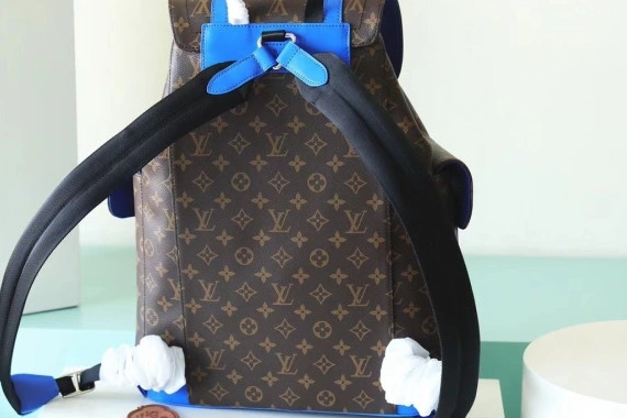 WIS LOUIS VUITTON CHRISTOPHER MM 1225